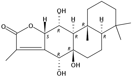 Yuexiandajisu E