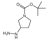 3-肼基吡咯烷-1-羧酸叔丁酯