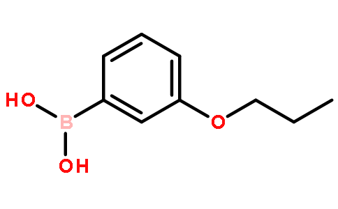3-丙氧基苯基硼酸