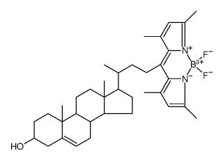 23-(dipyrrometheneboron difluoride)-24-norcholesterol