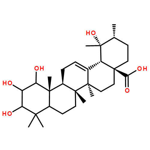1,2,3,19-Tetrahydroxy-12-ursen-2