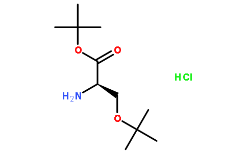 O-(叔丁基)-D-丝氨酸叔丁酯盐酸盐