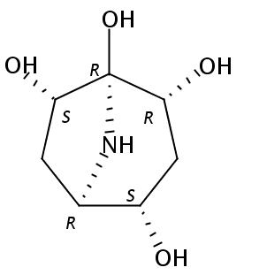 Calystegine B5