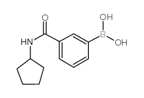 3-(环戊基氨基羰基)苯硼酸