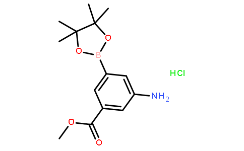 3-氨基-5-甲氧羰基苯基硼酸频哪醇酯盐酸盐