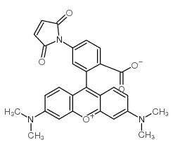 四甲基若丹明-5-马来酰亚胺