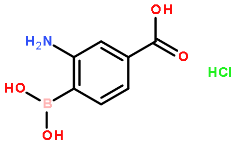 2-氨基-4-羧基L苯基硼酸盐酸盐