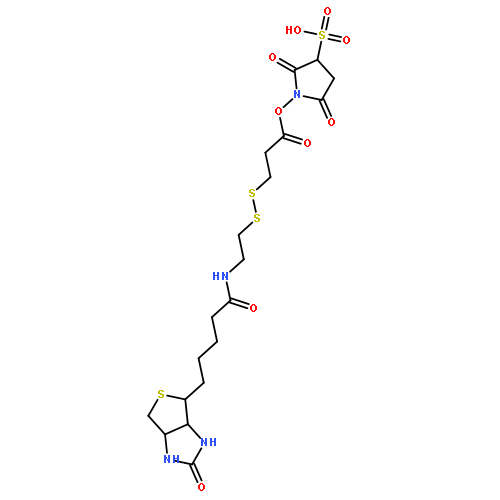3-[[2-(生物素酰胺)乙基]二硫基]丙酸磺酸基琥珀酰亚胺酯