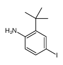 2-叔丁基-4-碘苯胺