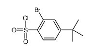 2-bromo-4-tert-butylbenzenesulfonyl chloride