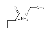 1-氨基环丁烷羧酸乙酯