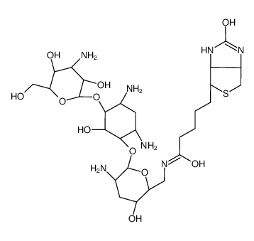 5-[(3aS,4S,6aR)-2-oxo-1,3,3a,4,6,6a-hexahydrothieno[3,4-d]imidazol-4-yl]-N-[[(3S,6R)-5-amino-6-[(1R,4R,6R)-4,6-diamino-3-[(2S,4S,5S)-4-amino-3,5-dihydroxy-6-(hydroxymethyl)oxan-2-yl]oxy-2-hydroxycyclohexyl]oxy-3-hydroxyoxan-2-yl]methyl]pentanamide