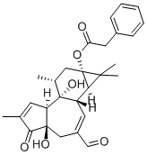 2-羰基-1-吡咯烷磺酸