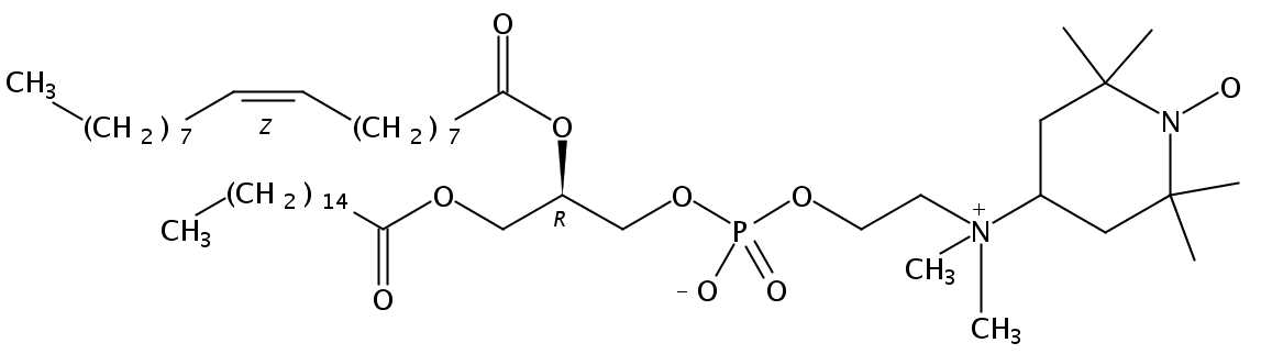 1-palmitoyl-2-oleoyl-sn-glycero-3-phospho(tempo)choline