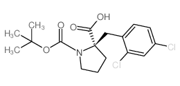 (2R)-2-[(2,4-dichlorophenyl)methyl]-1-[(2-methylpropan-2-yl)oxycarbonyl]pyrrolidine-2-carboxylic acid