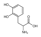 2-氨基-3-(2,3-二羟基苯基)丙酸