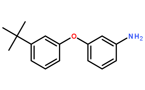 3-(3-叔丁基苯氧基)-苯胺