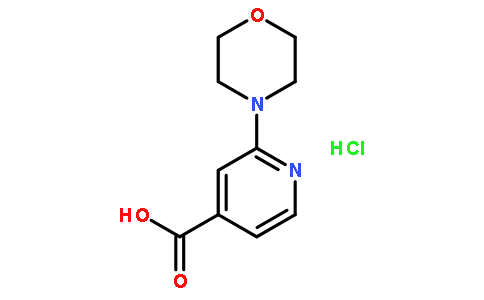 2-吗啉-4-异烟酸盐酸盐