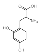 2-氨基-3-(2,4-二羟基苯基)丙酸