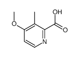 4-甲氧基-3-甲基甲酸吡啶