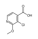 3-氯-2-甲氧基异烟酸