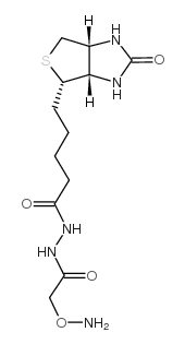 脲氨基酸氧羰基肼-d-生物素
