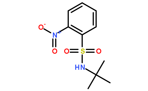 N-tert-butyl-2-nitrobenzenesulfonamide