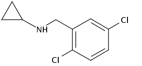 cyclopropyl-(2,5-dichloro-benzyl)-amine