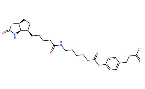 3-(4-(N-生物素-6-氨基己羧基)苯基)丙酸