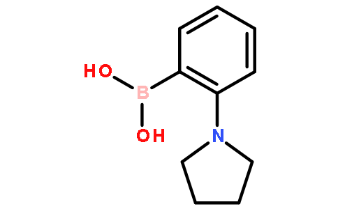 B-[2-(1-吡咯烷)苯基]硼酸