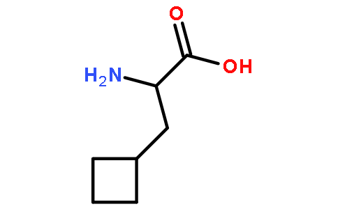 3-环丁基-L-丙氨酸