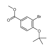 3-溴-4-叔丁氧基苯甲酸甲酯