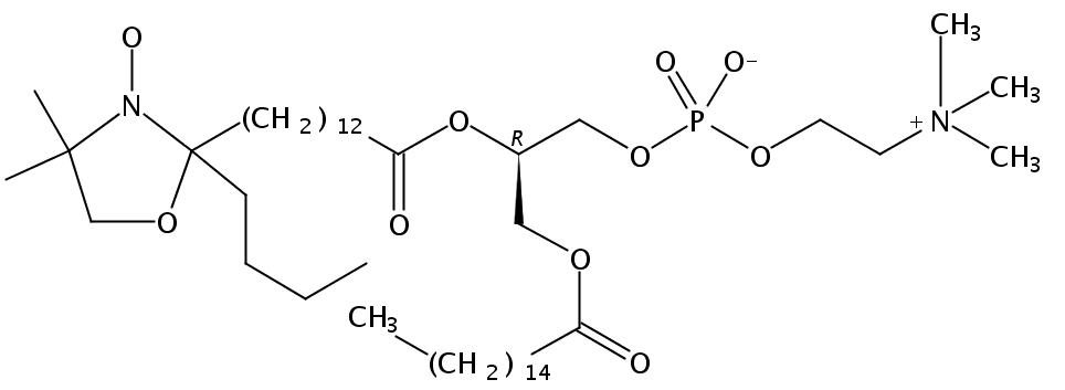1-palmitoyl-2-stearoyl-(14-doxyl)-sn-glycero-3-phosphocholine