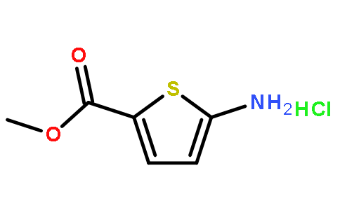 5-氨基-噻吩-2-甲酸甲酯(HCL)