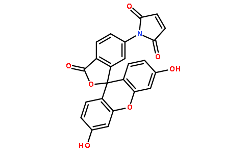 荧光素6-马来酰亚胺