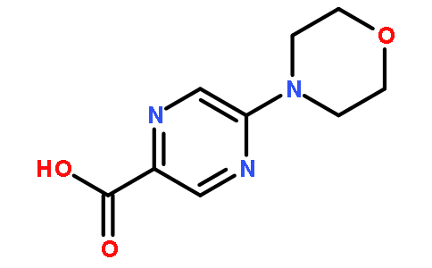 5-(4-吗啉基)-2-吡嗪甲酸