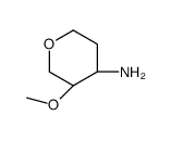 trans-3-Methoxytetrahydro-2H-pyran-4-amine
