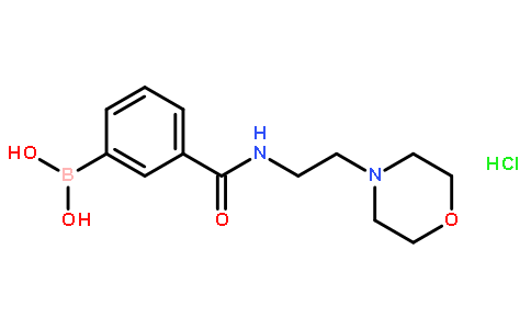 3-[2-(4-吗啉基)乙基氨甲酰基]苯硼酸盐酸盐