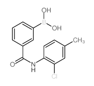 3-硼-N-(2-氯-4-甲基苯基)苯甲酰胺