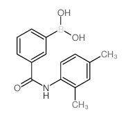 3-硼-N-(2,4-二甲基苯基)苯甲酰胺