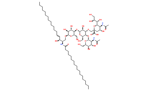 单唾液酸神经节苷脂?GM2