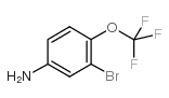 3-溴-4-(三氟甲氧基)苯胺