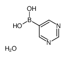 嘧啶-5-硼酸,97%