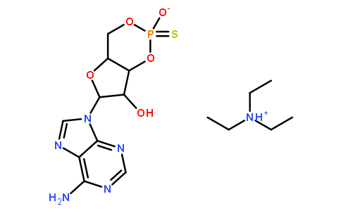 腺苷-3',5'-环状硫代磷酸三乙基铵盐,Sp-异构体