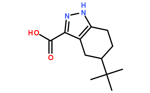 5-叔丁基-4,5,6,7-四氢-1H-吲唑-3-羧酸