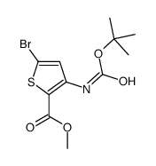 5-溴-3-叔丁氧基羰基氨基-噻吩-2-羧酸甲酯