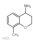 8-甲基-苯并二氢吡喃-4-胺盐酸盐