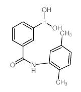 3-硼-N-(2,5-二甲基苯基)苯甲酰胺
