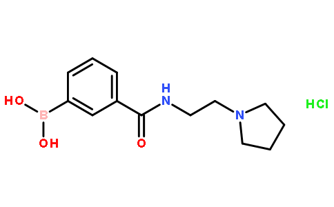 3-[2-(1-吡咯烷基)乙基氨甲酰基]苯硼酸盐酸盐