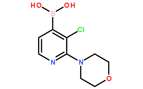 3-氯-2-(4-吗啉)吡啶-4-硼酸
